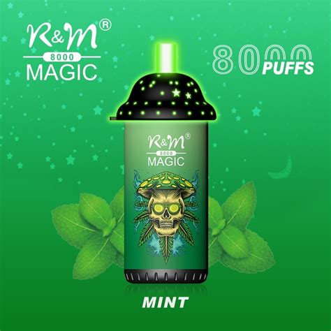 Beyond Tobacco: A Look at the Variety of RYM Magic Vape Flavors